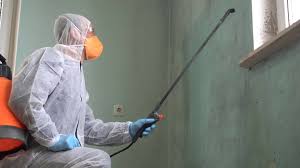 Best Emergency Mold Remediation in Willmsburg, IA